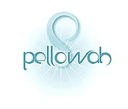 The Profound Impact of Pellowah Energy Healing